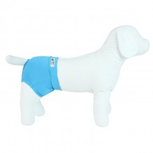 Sunga pra Cachorro